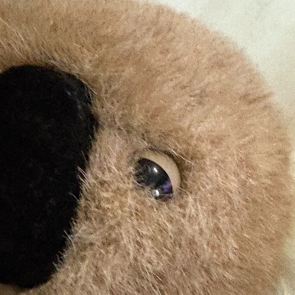 Folkmanis Full Body Hand Puppet 15" KOALA BEAR Plush And EUCALYPTUS W/Tags Read - Picture 8 of 16